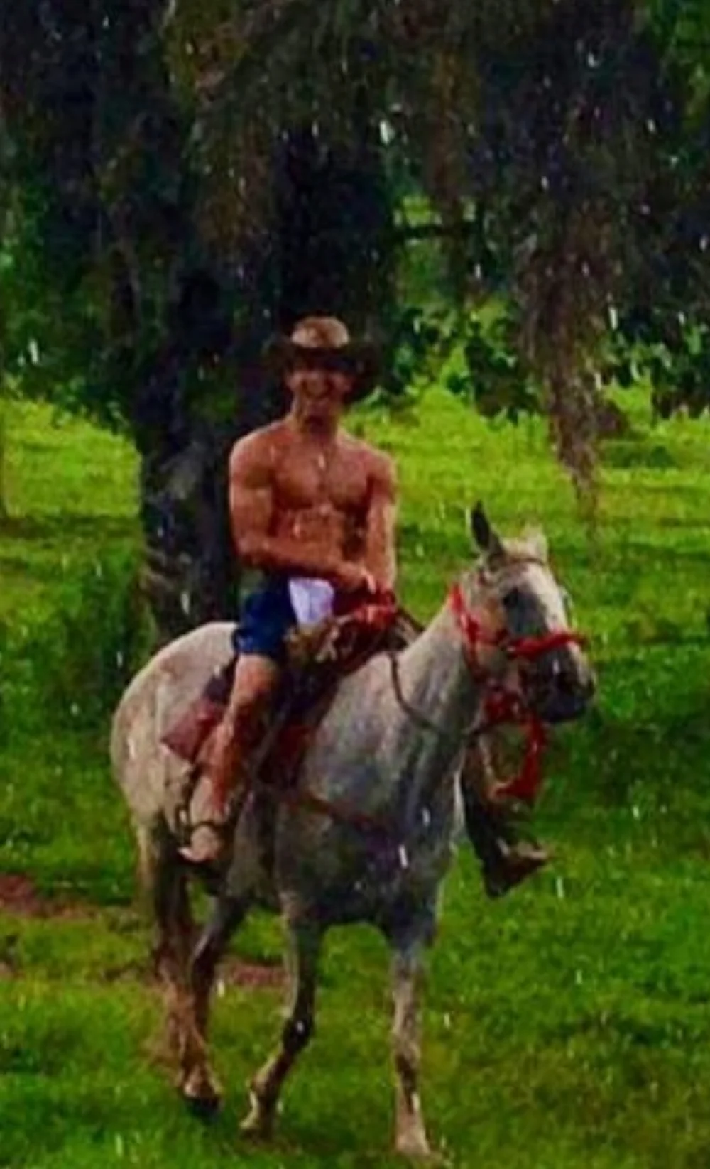 Raphael riding a gray horse under a tree in a green field
