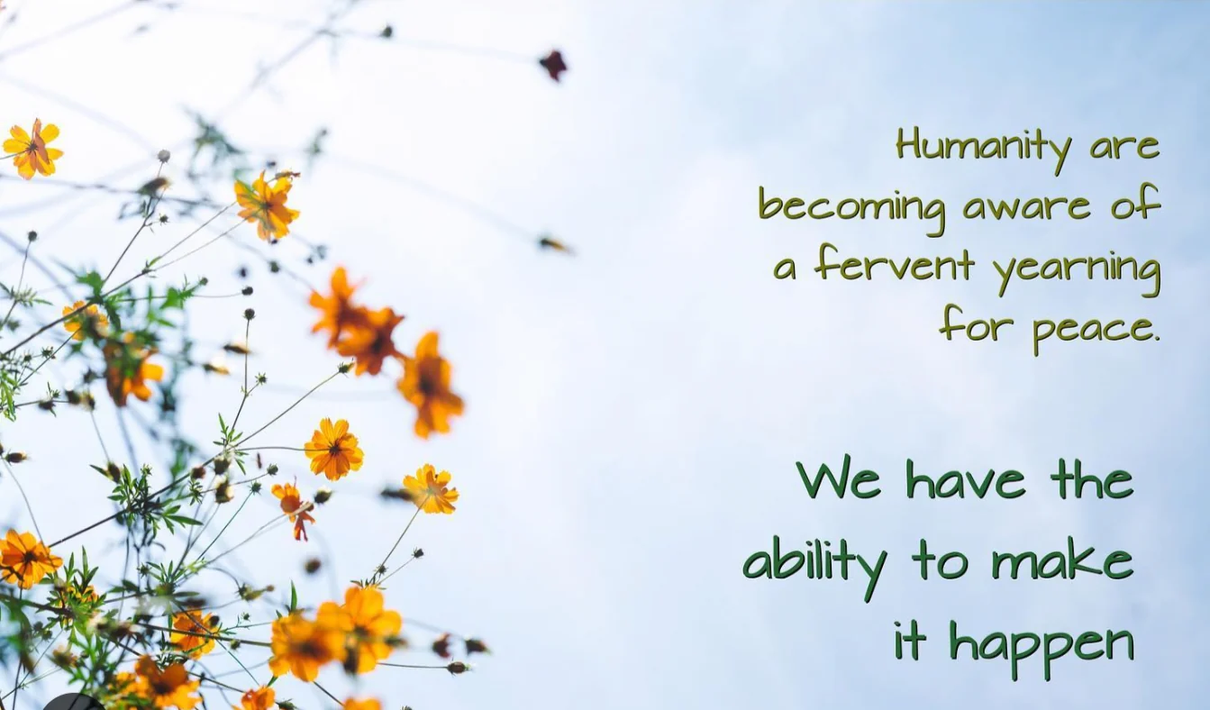 Quote graphic with wildflowers about peace